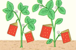 2012’s Best Summer Cookbooks